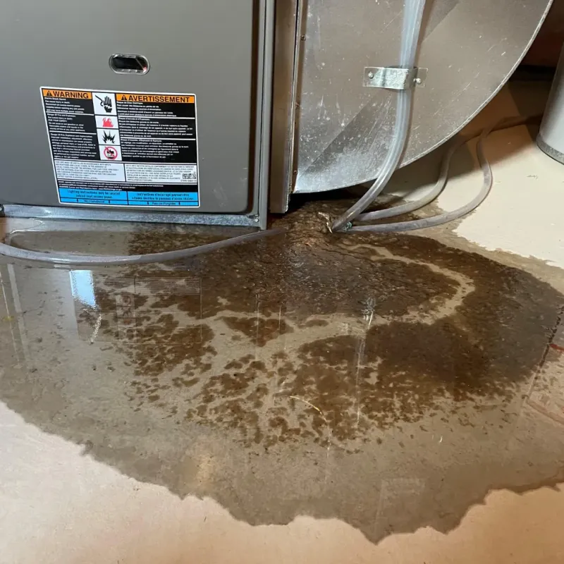 Appliance Leak Cleanup in Afton, WY