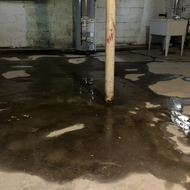 Emergency Water Extraction And Removal in Afton, WY